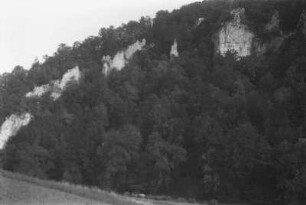 Donaudurchbruch : Blick auf eine Felsbruchkante an der Donau bei Gutenstein