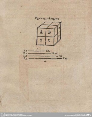 Figura 244. ad pag. 373.