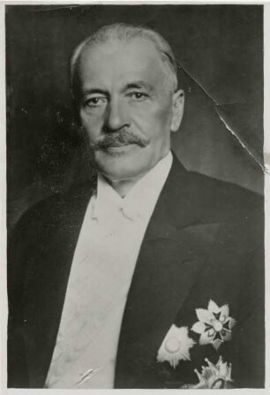 Mościcki, Ignacy
