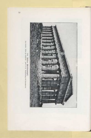 144. Pästum (Poseidontempel)