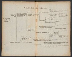 Tab. Vi. Continens Lib. II. Tit. 6. & 7.