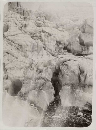 Crespos-Gletscher, Westseite des Antisana (1)