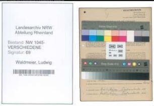 Entnazifizierung Ludwig Waldmeier , geb. 15.03.1900 (Arbeiter)
