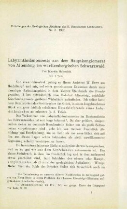 Labyrinthodontenreste aus dem Hauptkonglomerat von Altensteig im württembergischen Schwarzwald