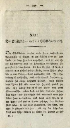 XXII. Die Schildkröten und ein Schildkrötenteich