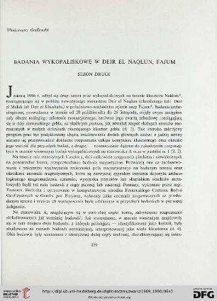 33/34: Badania wykopaliskowe w Deir el-Naqlun (Fajum) : Sezon drugi