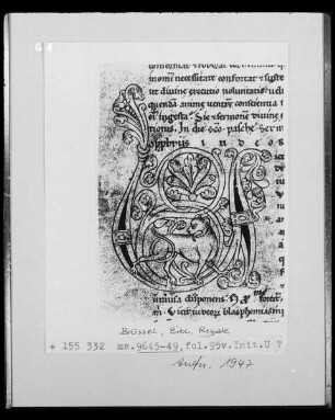 Ms 9645-49, St. Bernardi Sermones, fol. 95v: Initiale