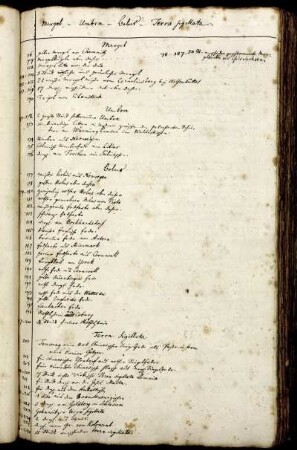 Mergel - Umbra - Bolus - Terra sigillata