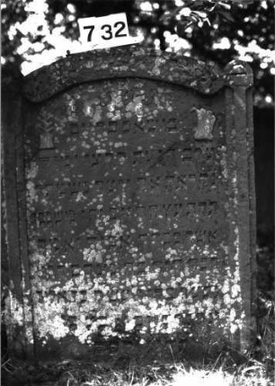 Grabstein 732