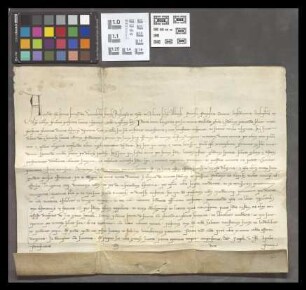 Mainz (Dominikaner-Kloster): Bulla Alexandri quarto, qualiter recommendat fratres Predicatorum AEpiscopis, Episcopis p.p. eccles.
