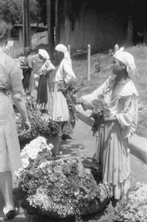 Bukarest: Blumenzigeunerin am Boulevard Bratianu