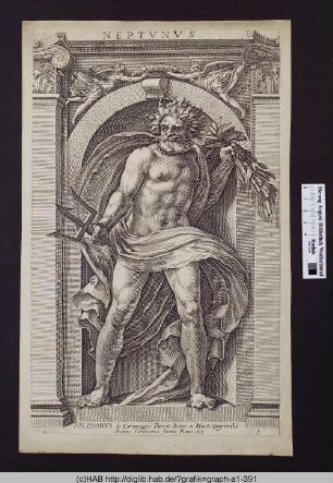Neptunus.