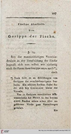 Fünfter Abschnitt: Vom Gerippe der Fische