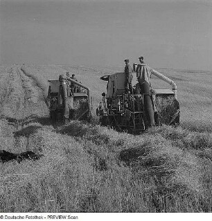 Landwirtschaft
