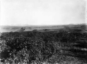 Landschaft bei San Diego : Blick über eine Landschaft mit Vegetation