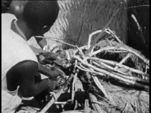 Djonkor (Zentralafrika, Süd-Wadai) - Margai-Kult