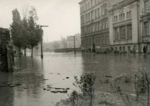 Leipzig-Hochwasser, Elsterstraße 12.7.54, 11:15 Uhr