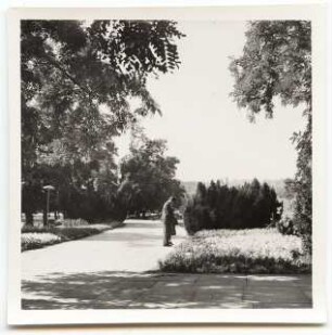 Deutsche Gartenschau 1950 auf dem Killesberg, Stuttgart: Park mit Plattenweg und Besuchern
