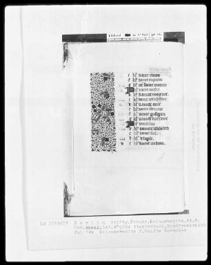 Lateinisches Stundenbuch — Teilbordüre, Folio 14verso