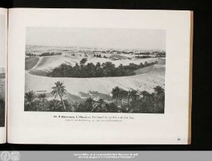 99. Palmenoase El Oued
