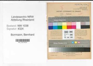 Entnazifizierung Bernhard Borrmann , geb. 25.04.1894 (Lokfuehrer)