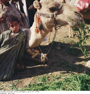 Ägypten: Gizeh