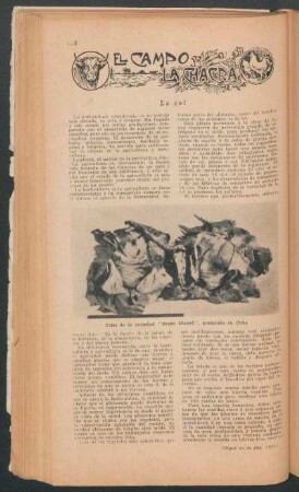 La col : El campo y la chacra