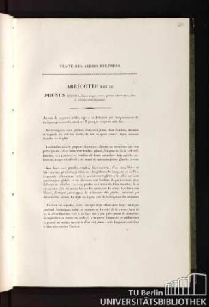Traité des abres fruitiers. Abricotée rouge. Prunus decora, fructu magno, ovato, primùm dilutè rubro, dein ad colorem cyani transeunte.