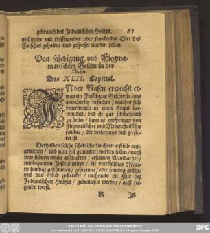 Von schedigung und Flegmatischem Geschwür der Nasen. Das XLII. Capittel.