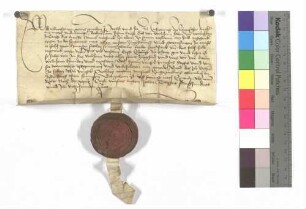 Propst Albrecht von Ellwangen verleiht dem Hanns Meßner eine Wiese zu Lehen.