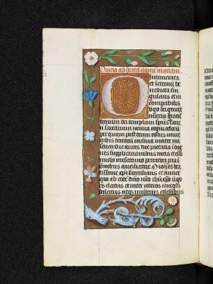 Bordürenseite mit Streumusterbordüre und Initiale O