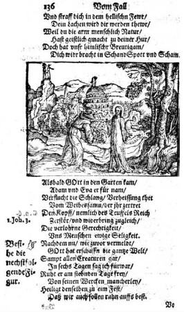 Vom Fall Adams und Evae.