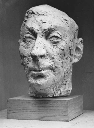 Studie Peter Schönemaker