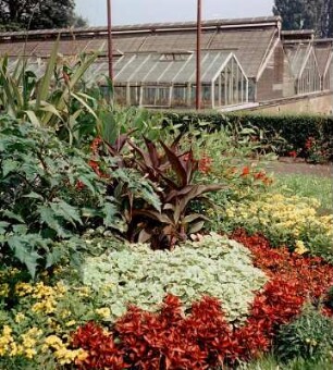 Blumen vor Gewächshäusern des Botanischen Gartens Jena