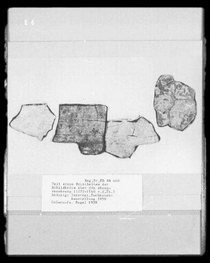 Reproduktion eines Teiles eines Brustbeins der Schildkröte über die Ahnenverehrung