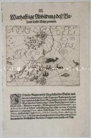 Abbildung der Tafelbai- Tafel 49 aus de Bry, India II