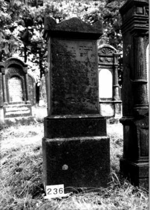Grabstein 236 [Nir S. 166 Nr. 15.26]: Grabstein 236 (Detailaufnahme 1) [Nir S. 166 Nr. 15.26]