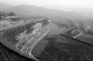 Oberrotweil: Struktur der umgelegten Weinberge