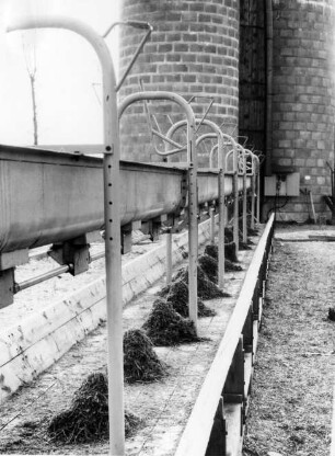 mech. Fütterungsanlage