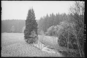 Grabentour. nach Krummenhennersdorf