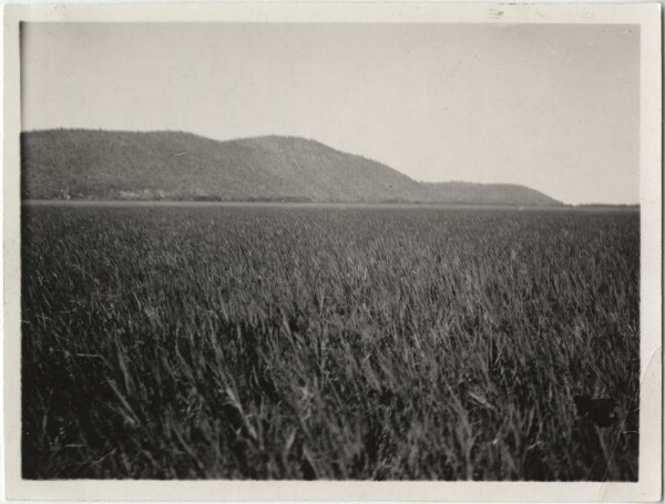 Morro do Triumpho (avec des gravures rupestres) à l'endroit où le S. Lourenço se jette dans le Paraguay