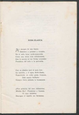 Rosa blanca