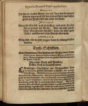 Querelæ Domini Vidui mæstissimi: [...]