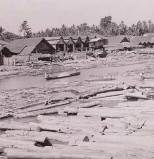 Indien, Calicut, Hafen mit Floßholz und Sägewerk