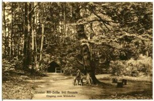 Altzella. Eingang zum Weinkeller des ehemaligen Zisterzienserklosters