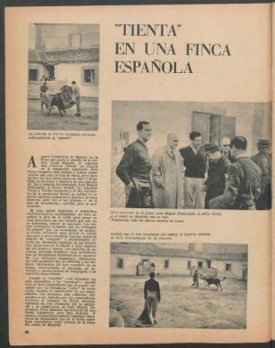 "Tienta" en una finca española