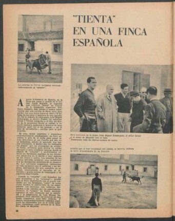 "Tienta" en una finca española