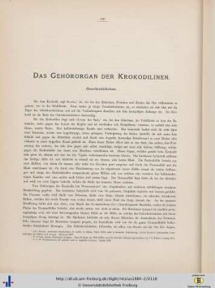 Das Gehörorgan der Krokodilinen.