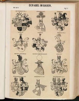 Taf. 5. Bettendorf (Fhr.). - Bodmann (St.W.). - Bodmann. - Böcklin (Fhrn.). - Breiten-Landenberg. - Breiten-Landenberg (St.W.). - Buol (St. W.) - Buol-Berenberg (1707). - Degenfeld (St.W.) - Buol-Berrenberg (Fhr.)