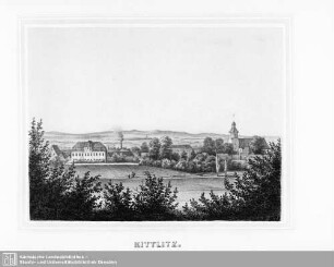 Kittlitz
